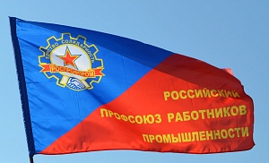 Создание ППО Роспрофпрома